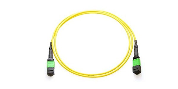 MTP 40G SM 12F Trunk Cable-img-1